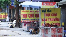 TP HCM khuyến cáo người dân bỏ thói quen ăn thịt chó