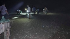 Rạng sáng 28/9, người dân nhặt được một cái đuôi giã cào đã rách toác của tàu dã cào tại khu vực biển phát hiện có xác cá chết.