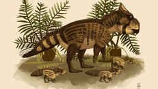 Cận cảnh loài khủng long mới vừa được phát hiện.