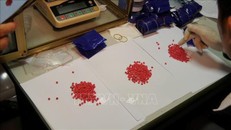 Vạch thủ đoạn dùng băng dính quấn quanh đùi gần 1.200 viên ma túy tổng hợp