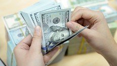 Khác với xu hướng tăng khi bước vào mùa cao điểm, tỷ giá và lãi suất trong tháng cuối năm 2019 khá bình lặng.