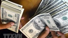 Kiểm đồng USD. (Ảnh: AFP/TTXVN)