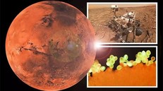 Sao Hỏa có nhiều dạng chất hữu cơ kỳ lạ, có loại tương đồng Trái đất - (ảnh: DAILY EXPRESS).