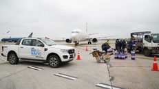 Nguy cơ đình trệ hoạt động bay luôn thường trực trong giai đoạn đóng cửa 1 đường băng để sửa chữa. Ảnh minh họa: NIA.