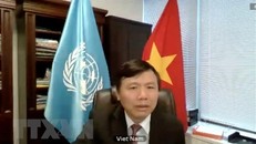 Đại sứ Đặng Đình Quý, Trưởng Phái đoàn đại diện thường trực Việt Nam tại Liên hợp quốc. (Ảnh: Hữu Thanh/TTXVN)