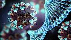 Phát hiện ra 'điểm yếu' của virus SARS-CoV-2