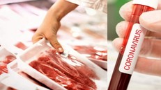 WHO bác giả thiết thực phẩm là nguồn lây nhiễm đại dịch Covid-19