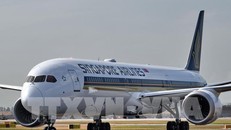 Boeing phát hiện lỗi kỹ thuật trên thân một số máy bay 787