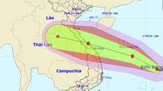 Vị trí và hướng di chuyển của bão số 5. 