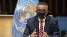 Tổng Giám đốc WHO tự cách ly do tiếp xúc người mắc COVID-19
