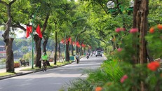 Miền Bắc sáng sớm lạnh, trưa chiều trời nắng 