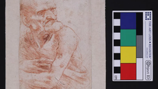 Đây là bức "Uomo della Bitta" của Leonardo Da Vinci, một trong sáu bức vẽ của ông gần đây được phát hiện các vi sinh vật phức tạp.