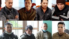 8 người tham gia vụ phá rừng quy mô lớn ở khu vực rừng Trường Sơn (Quảng Bình).