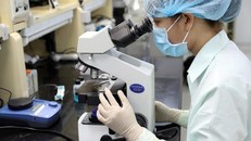 Chuyên gia nói về virus gây COVID-19 biến thể tại Anh có mặt tại Việt Nam