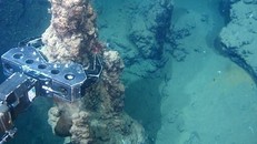 Các công ty toàn cầu hưởng ứng lời kêu gọi ngừng khai thác nguyên liệu dưới đáy biển sâu