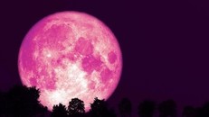 'Siêu trăng hồng' khiến thế giới thích thú