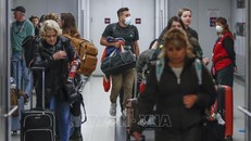 Ảnh minh họa: AFP/TTXVN