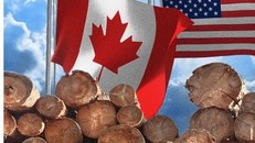 Mỹ và Canada mâu thuẫn về mức thuế đối với mặt hàng gỗ mềm