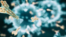 Hình ảnh mô phỏng kháng thể đang bao vây và tấn công một tác nhân gây bệnh. Ảnh: the-scientist.com