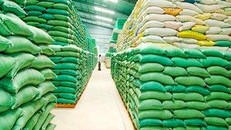 Xuất hơn 130.000 tấn gạo cho 24 tỉnh, thành phố hỗ trợ người dân gặp khó khăn do dịch COVID-19