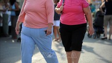 Chất có tiềm năng điều trị bệnh béo phì