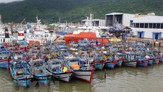 Tàu thuyền của ngư dân miền Trung được neo đậu tránh bão số 6 tại Âu thuyền Thọ Quang. (Ảnh: Trần Lê Lâm/TTXVN)