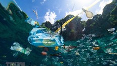 Hàn Quốc kêu gọi hợp tác liên Triều về biến đổi khí hậu