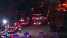 Giới chức Mỹ điều tra vụ giẫm đạp tại lễ hội âm nhạc khiến nhiều người thiệt mạng