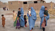 Đại dịch COVID-19 phá hủy cấu trúc xã hội, tác động mạnh đến phụ nữ và người di cư