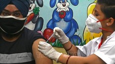 WHO cấp phép sử dụng khẩn cấp vaccine Covovax do Ấn Độ sản xuất