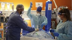 Anh: Khủng hoảng nhân sự y tế có thể làm chệch hướng nỗ lực chống COVID-19