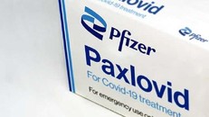 Canada phê duyệt thuốc kháng virus trị COVID-19 của hãng Pfizer