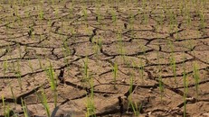 Biến đổi khí hậu làm những hiện tượng thời tiết cực đoan trở nên gây gắt hơn