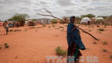 WFP kêu gọi nỗ lực ngăn chặn thảm họa nhân đạo do hạn hán ở Ethiopia