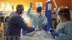 Nguy cơ tử vong tăng cao ở bệnh nhân nhiễm đồng thời SARS-CoV-2 và virus cúm