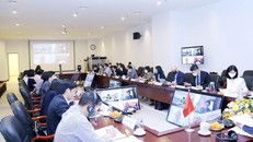 Việt Nam, Nam Phi đẩy mạnh hợp tác song phương