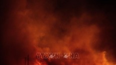 Hơn 2.000 người sơ tán vì cháy rừng lan rộng ở miền Tây Nam nước Mỹ