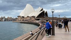 Australia và New Zealand cảnh giác trước nguy cơ dịch cúm bùng phát trong mùa Đông