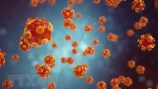 Indonesia khuyến cáo người dân cảnh giác với căn bệnh viêm gan cấp tính ở trẻ em