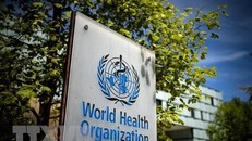 WHO: Bệnh đậu mùa khỉ không ngừng lây lan sẽ đe dọa các nhóm nguy cơ cao