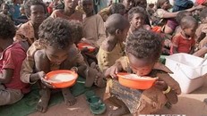 LHQ cảnh báo về nguy cơ đói nghèo và di cư trên quy mô chưa từng có