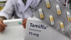 Tự ý dùng Tamiflu điều trị cúm sẽ tăng nguy cơ đề kháng thuốc