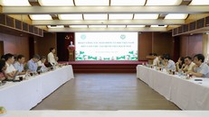 Gỡ vướng mắc thanh quyết toán chi phí khám, chữa bệnh bảo hiểm y tế