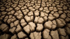 Ai Cập và Đan Mạch thảo luận về hành động khí hậu trước thềm COP27