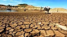 Biến đổi khí hậu vẫn là mối lo ngại hàng đầu trên thế giới