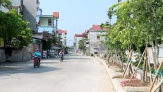 Huyện Mỹ Đức, Hà Nội. (Nguồn: hanoimoi.com.vn)