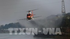 Hàn Quốc nỗ lực ngăn chặn dịch tả lợn châu Phi