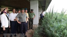 Thủ tướng Phạm Minh Chính kiểm tra thực trạng Bệnh viện Hữu nghị Việt Đức cơ sở 2 tại thành phố Phủ Lý, Hà Nam.(Ảnh: Dương Giang/TTXVN)