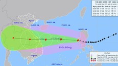 Bão số 4 mạnh cấp 12-13, cách quần đảo Hoàng Sa 810 km về phía Đông