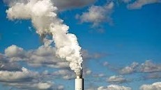 Ô nhiễm tầng ozone gây tác hại trên diện rộng cho thực vật